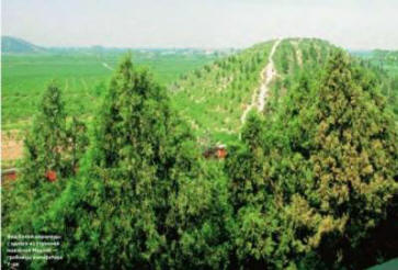 Falešné a skutečné hádanky z Číny