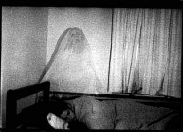 Phantom - správce informací