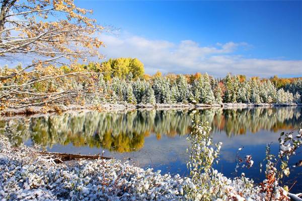 podepíše 11. listopadu 