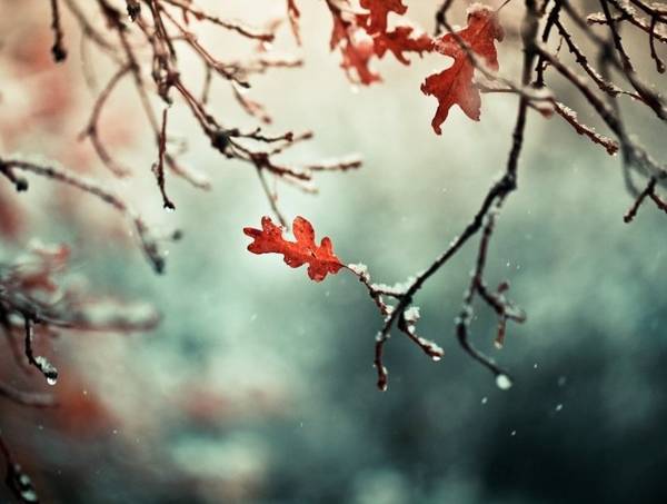 lidové znamení 11. listopadu 