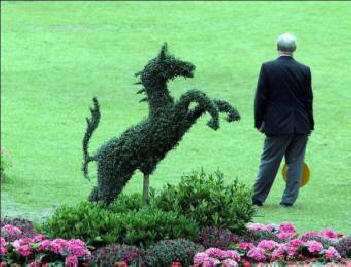 Prognóza Feng Shui pro zelený kůň 2014