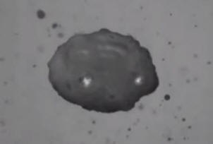 Fyzici se naučili ovládat akustickou levitaci. Video