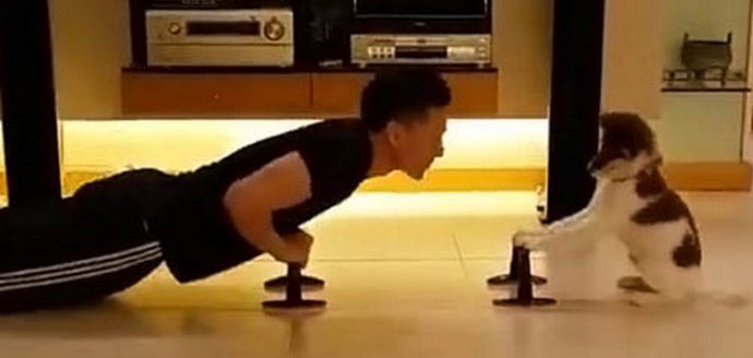 Tělesná výchova pro pár se štěně