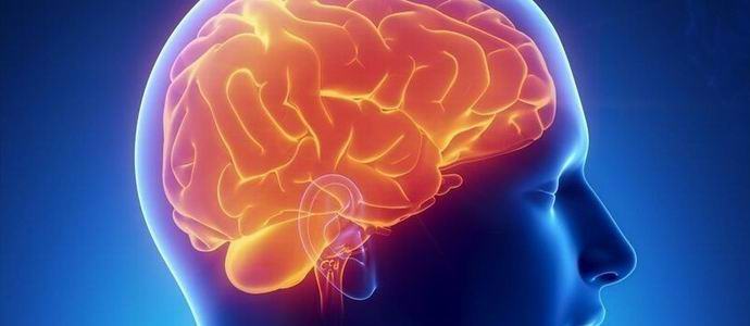 Francouz žije půl století bez mozku