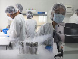 Genetika zjistila, když se smíchaly národy žijící na Zemi