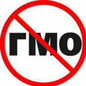 GMO: 3 miliardy lidí mohou zemřít!