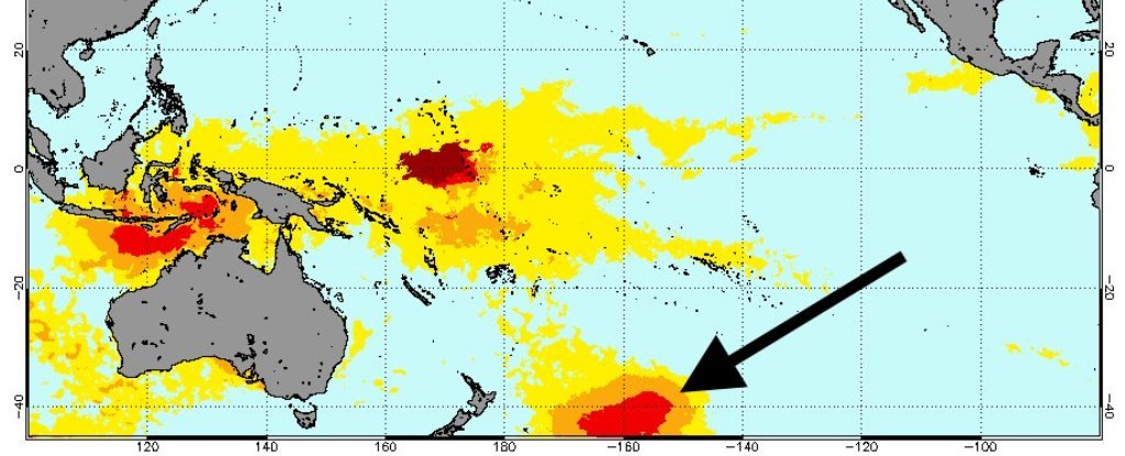 „Horká bublina“ v Tichém oceánu zabila za jeden rok milion mořských ptáků 
