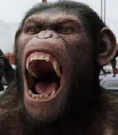 Přichází opičí vzpoura?