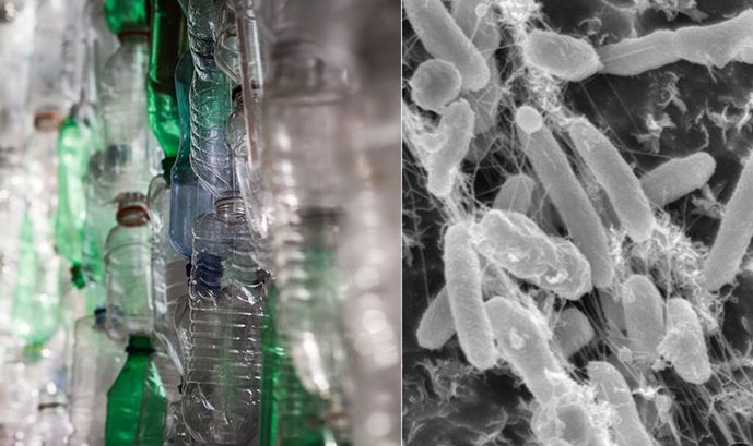 Dobrá zpráva: existuje mikrob, který dokáže absorbovat některé z nejtvrdších plastů k recyklaci 
