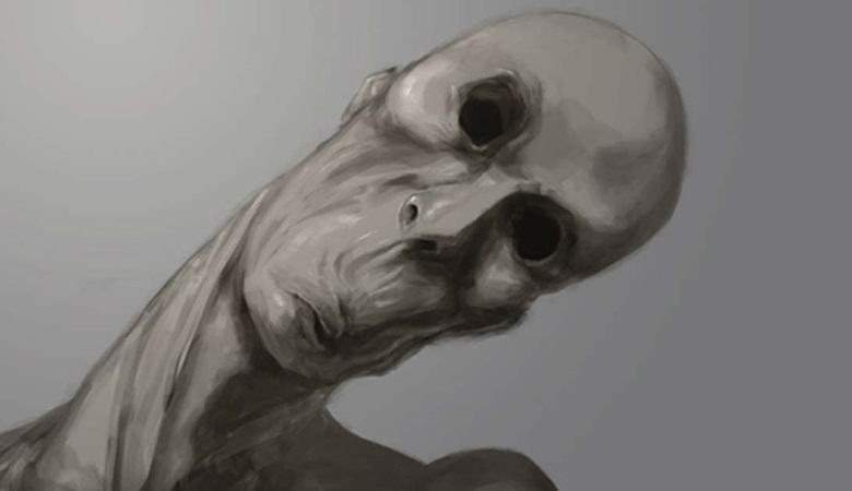 Tenké humanoidní stvoření zajaté v Oregonském nočním lese