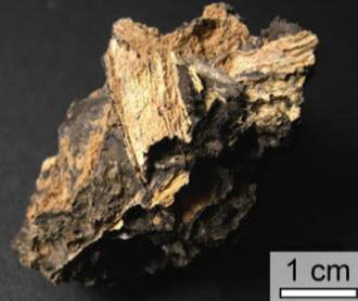 Impactit uložil biologická data po miliardy let.