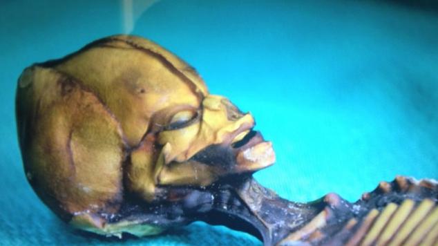 Cizinec z pouště Atacama