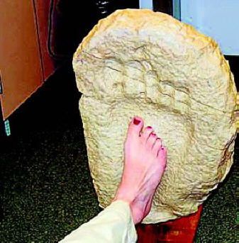 Zkamenělý otisk obří stopy z pobřeží řeky Palexi (Texas, USA)