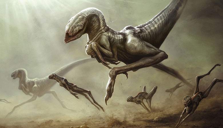 Vědci se domnívají, že na obrázcích Marsu jsou vidět stopy zvířat.