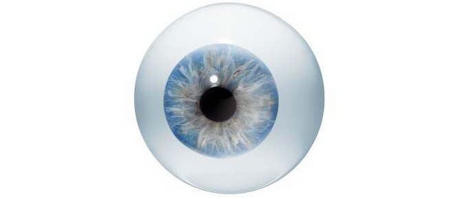 Italové syntetizovali umělé lidské oko