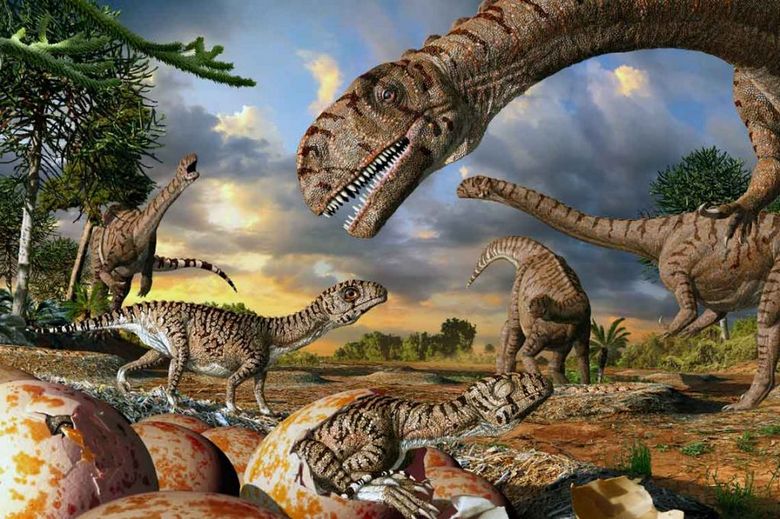 Ze světa dinosaurů: jejich druhy byly mnohem menší a žraloci je snědli.