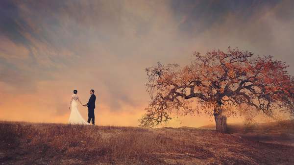 kniha snů vidět se ve svatebních šatech pro vdanou ženu 