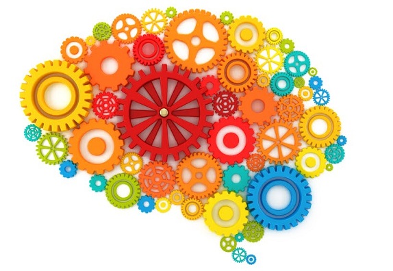 Jak mozek vnímá barvy