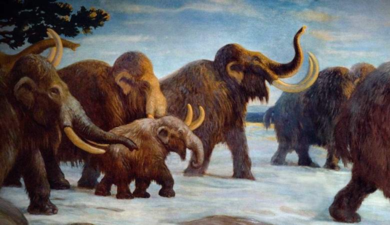 Jak se rodí padělky nebo záhada záběry na Sibiři