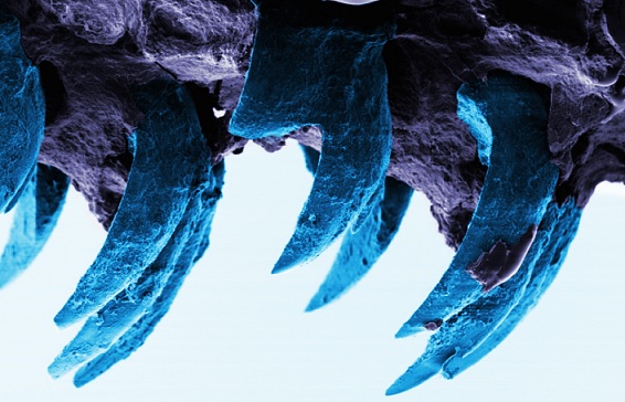 Jaký materiál je na Zemi nejodolnější, vědci zjistili,