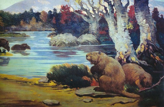 Jak by mohla být Země bez lidí?