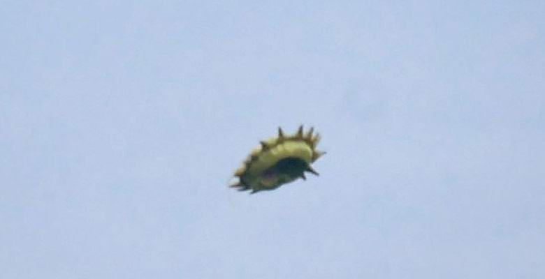 Kanadský vyfotil dvakrát