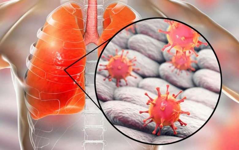 Čínský koronavirus jako zkouška zkoušek globalistů (verze)