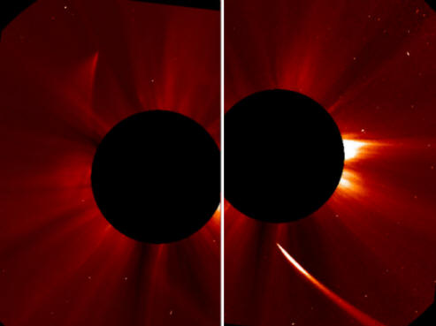 ISON Comet Phoenix se znovu narodil z popela