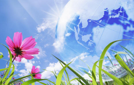 Pokojové rostliny mohou myslet, mluvit a číst naše myšlenky.