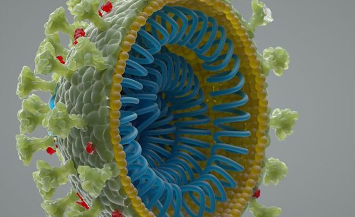 Koronavirus nebyl vytvořen v laboratoři.  Zde říkají vědci 