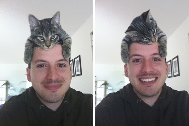 Kočky na kloboucích!