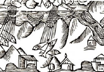 Vždycky v různých zemích padl úžasný déšť.