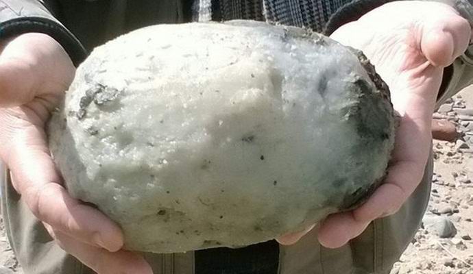 Kus šedého ambry obohatil britský pár