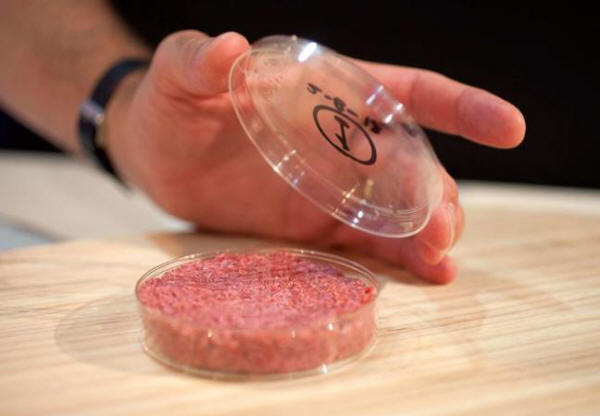 Laboratorní maso: být nebo nebýt?