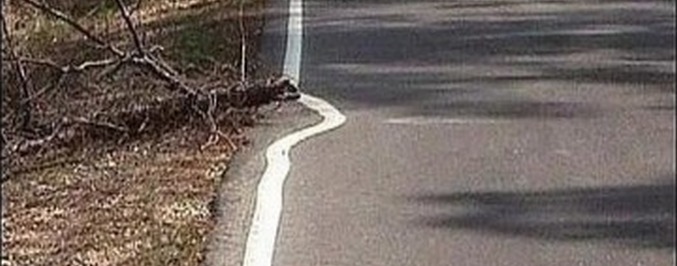 Je lenost motorem pokroku?