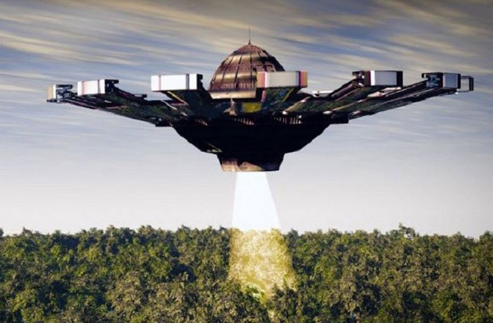 Paprsek světla sleduje divoká zvířata