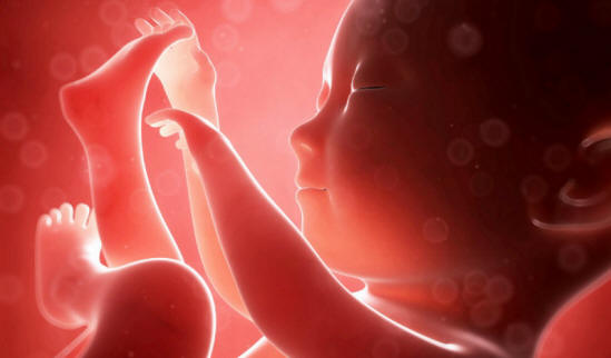 Lidé se vzpomínkami před narozením