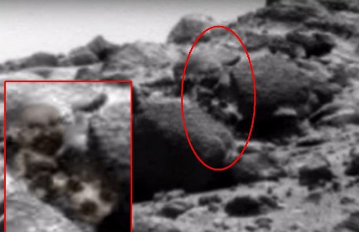 Ukázalo se, že Marťan je vousatý a také se psem.