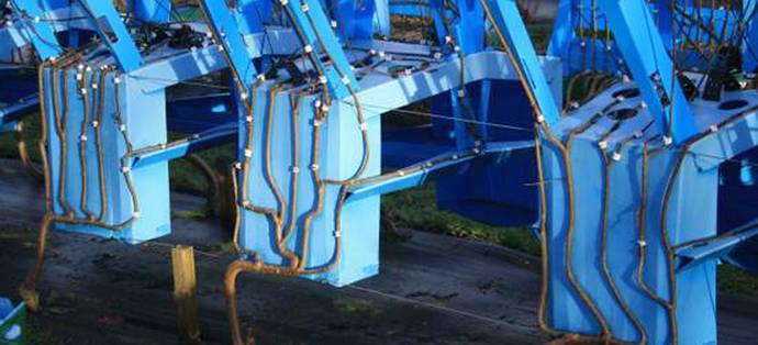 Nábytek lze vyrobit, ale můžete - růst