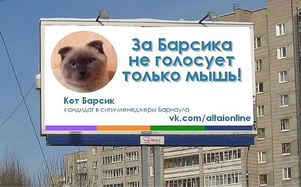 Starosta Barnaulu mohl být ... kočka!