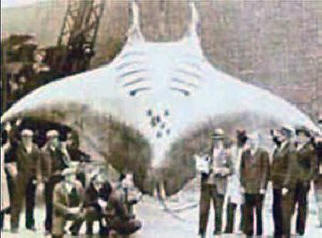 Pomsta vědcům neznámého