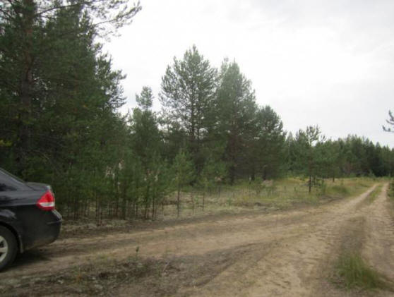 Místo, kde nežijí krysy a jiné neobvyklé zóny Komi