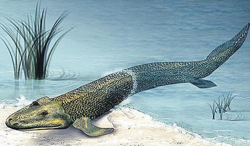 To byl předek veškeré psychiky.