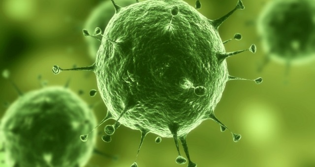 Bakterie mohou žít ve vesmíru roky