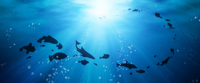 Oceány se mění a mění život na planetě jako celku