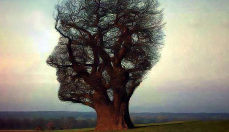 Mystický strom měl podobu mrtvé ženy