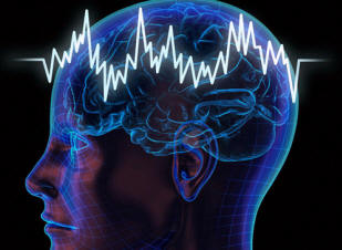 Mozek a vesmír jsou bratři dvojčata?