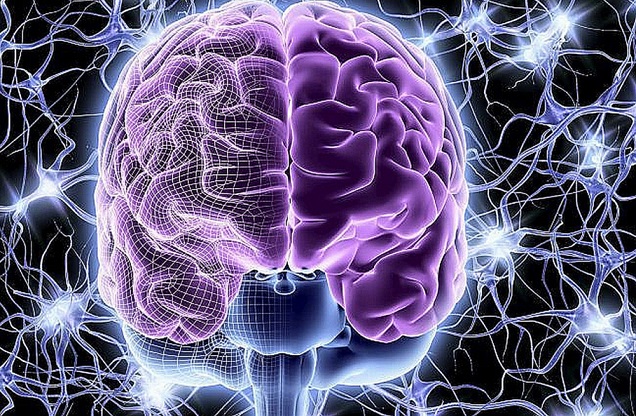 Může člověk myslet bez mozku?