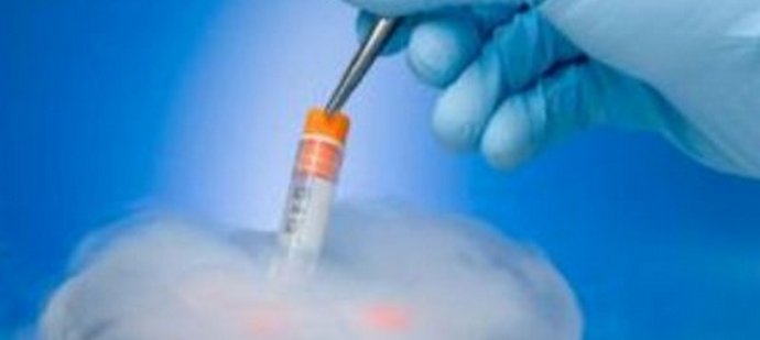 Je možné uměle vytvořit perfektní generaci?