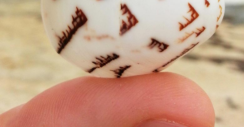 Muž našel kámen s